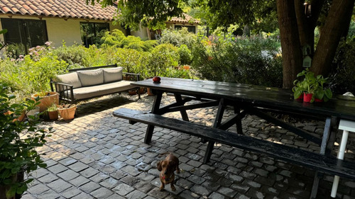 Bernardo Larrain / Calle Interior