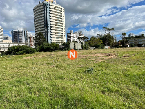 Imagen 6 de 8 de Impresionante Terreno De 4857m2 Para La Venta - Punta Del Este Brava