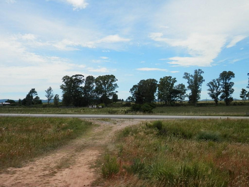 Solis De Mataojo 183ha Agr-gan Sobre Ruta 8