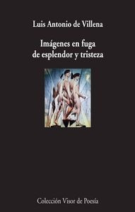 Libro Imã¡genes En Fuga De Esplendor Y Tristeza - Villena...