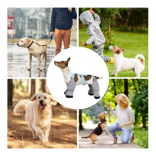 Botas Impermeables Para Perros Botas Para Perros Protectores