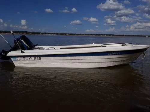 Motor Fuera De Borda Mercury 25 M Sea Pro