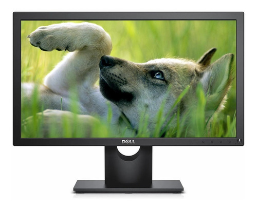 Monitor Dell 20 Pulgadas Vga Displayport Vesa