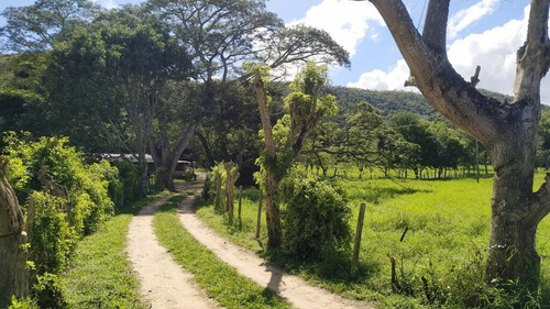 Imagen 3 de 14 de 165595 Katherine Castillo 0412-8567234 Venta Finca Carretera Aguirre