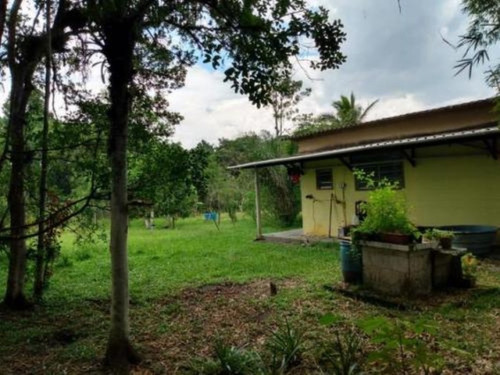 Imagem 19 de 23 de Chácara Com Churrasqueira, Árvores Frutíferas E Vaga Para 08 Automóveis, Em Itanhaém, No Bairro Parque Real Ref: 7634/ac