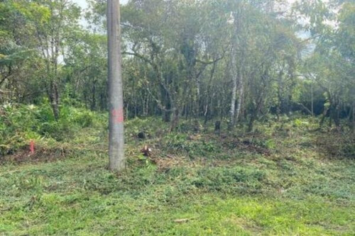 Imagem 5 de 6 de Ótimo Trreno Com 241 Metros Em Itanhaém Litoral Sul De Sp - 10 Mil De Entrada E Parcelas
