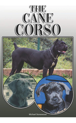 Libro The Cane Corso-michael Stonewood-inglés