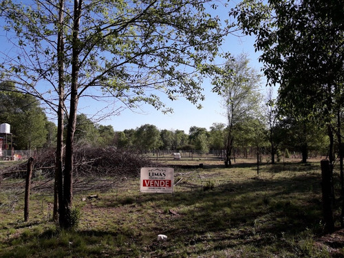 Imagen 3 de 3 de Los Reartes 2 Terrenos Juntos A La Venta