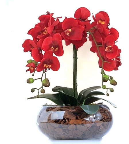 Arranjo 4 Hastes De Orquídeas Vermelhas Em Vaso Incolor