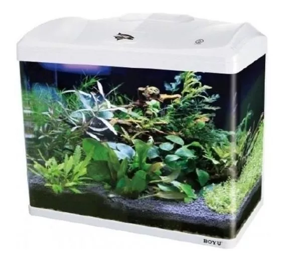 Terceira imagem para pesquisa de aquario 400 litros com movel completo aquarios