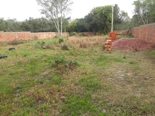 Imagem 7 de 7 de Terreno - Te00036 - 32893250