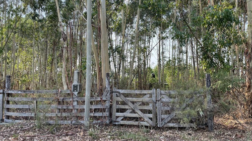 Imagen 8 de 13 de Terreno - Colon