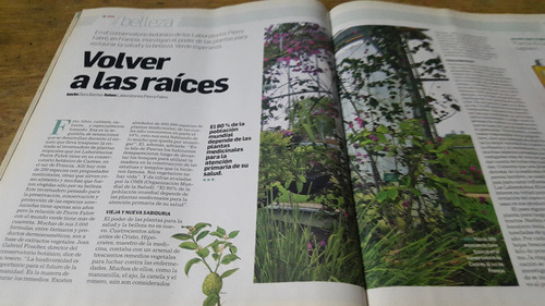 Revista Viva Clarin N° 1633 2007 Pierre Fabre Botanico