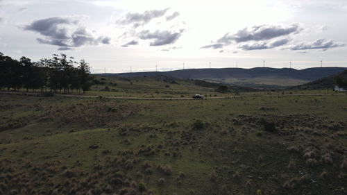 Imagen 8 de 12 de Chacra En Maldonado 3ha Sierra De Los Caracoles (ref: Atm-6801)