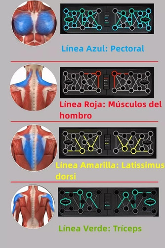Bebeay Tabla Push-up Plegable, Tablero Para Lagartijas