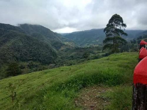 Lote En Venta En Yarumal