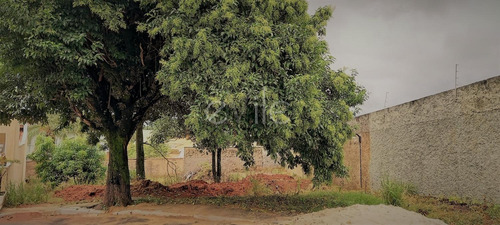 Imagem 2 de 4 de Terreno À Venda Em Aterrado - Te008908