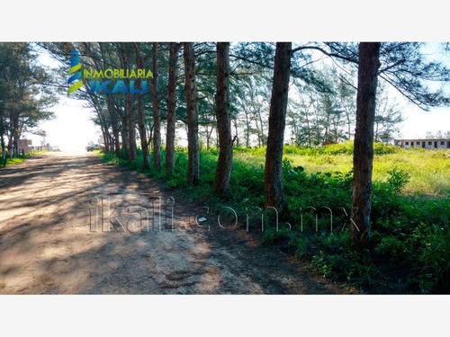 Imagen 11 de 12 de Terreno En Venta Tamiahua
