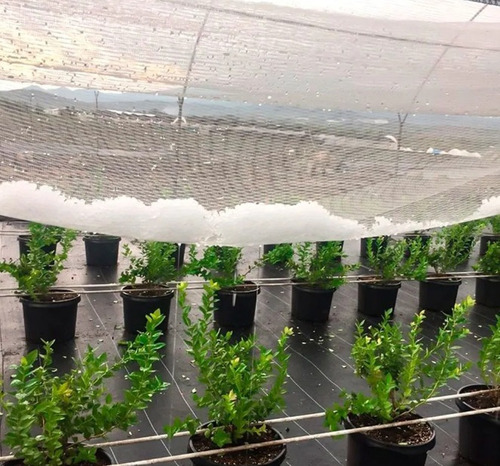 Malla Red Protección Anti Pajaro/granizo Cristal 2mt.ancho
