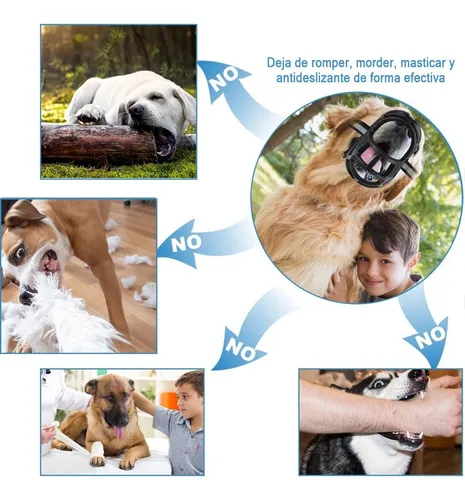 Bozal For Perro De Entrenamiento Todas Las Tallas