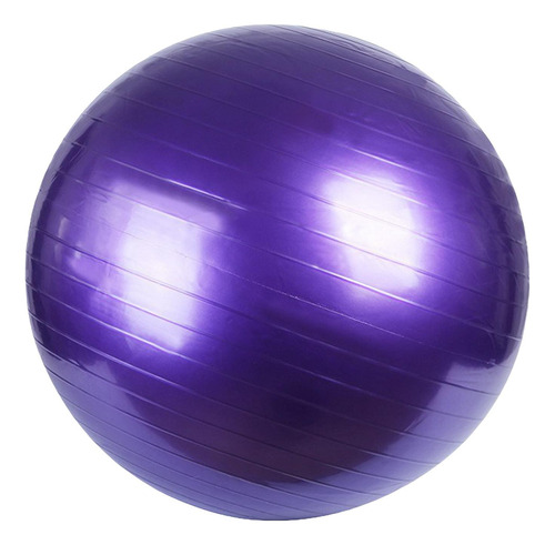 Pelota De Pelota De Ejercicio Pelota De 65cm Púrpura