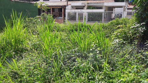 Imagen 5 de 5 de En Venta Hermoso Terreno, El Vigia, Merida