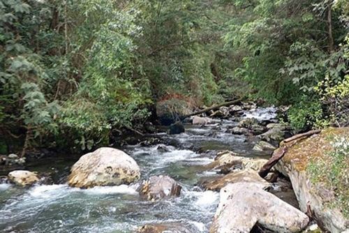 Venta Parcela Pucón Con Acceso A Rio Carhuello