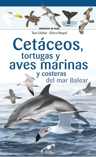 Libro Cetaceos Tortugas Y Aves Marina Y Costeras Del Mar ...