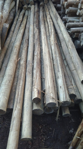 Postes/palos 7/9cm Diametro 3 Mts Curado
