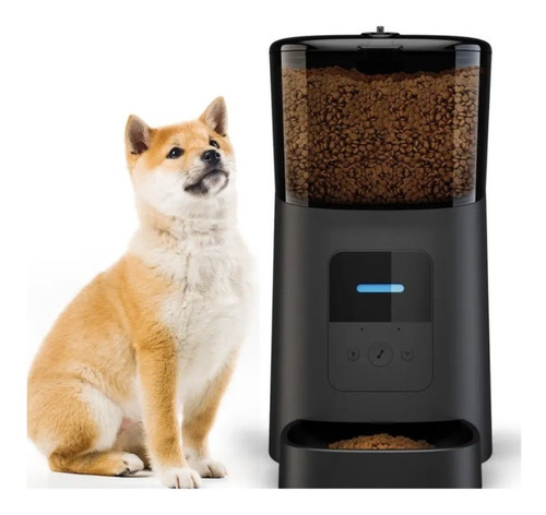 Dispensador Alimento Automático Perros Gatos Mascota Voces