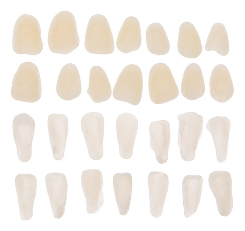 Relleno De Tabletas Dentales Molar Veneers, 200 Unidades