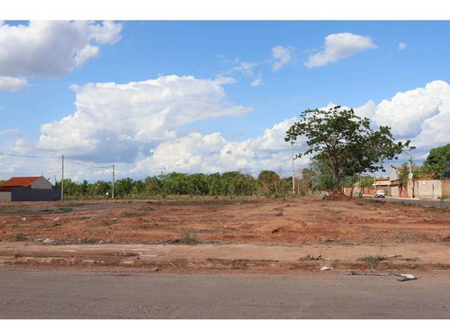 Imagem 10 de 16 de Ótima Área Para Investimento! - 23981