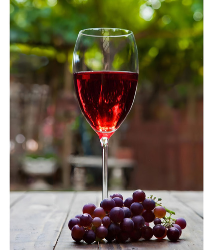 Pack De 2 Vino Tinto Quattrocchi Tempranillo Malbec 750 Ml