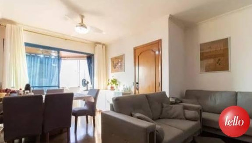 Imagem 1 de 28 de Apartamento - Ref: 236148