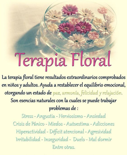 Holly 15ml Flores De Bach Sin Diluir Enojo Celos Envidia