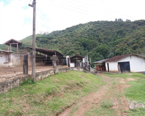 Imagem 13 de 30 de Fazenda Bem Localizada À Venda Em Juquitiba. - 15 - 32982853