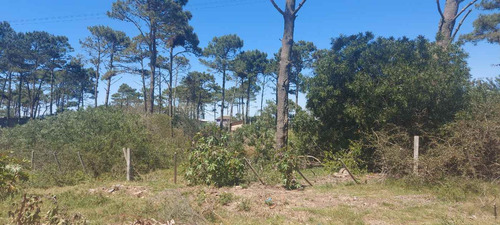 Terreno En Venta En El Bosque En Punta Del Diablo