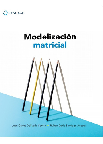 Modelización Matricial