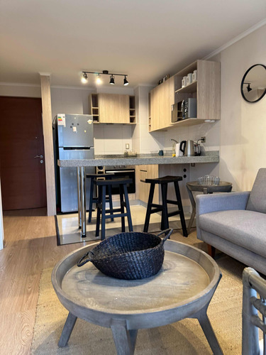 Hermoso Departamento De Un Dormitorio En Villarrica