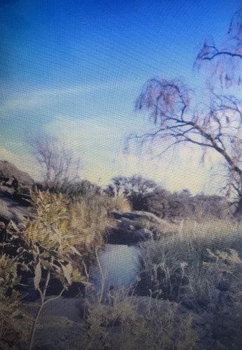 Imagen 4 de 5 de Campo En Cañada Larga