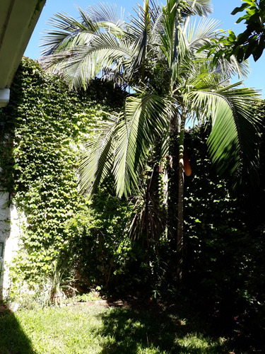 Ph Parrilla Jardin Privado Amoblado Temporario Villa Urquiza