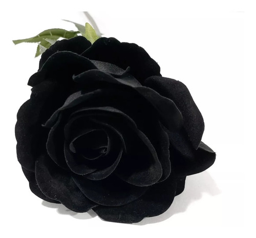 50 Sementes Rosa Preta Negra Exótica Rara + Frete Grátis!!