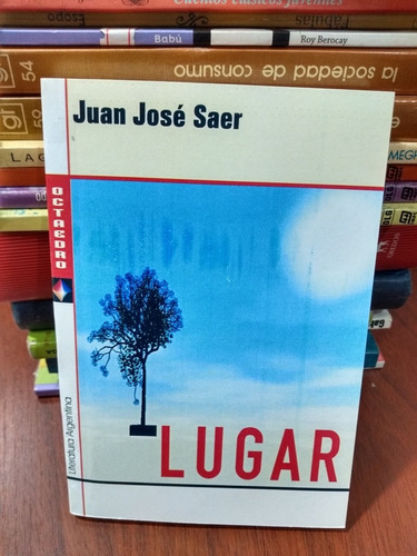 Lugar Juan José Saer Octaedro Nuevo * 