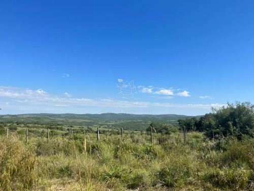 Campo En Paso De La Cantera