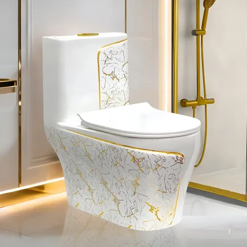 Foto real de Vaso Sanitario Monobloco Caixa Acoplada Completo Privada Co5 Cor Miami W Lux