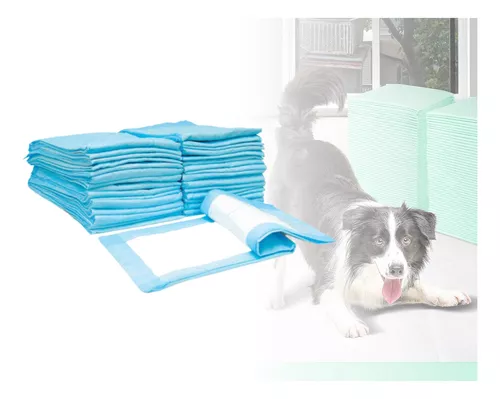 Empapadores Perros Desechables Almohadilla Higiénica de Entrenamiento para  Perro, Toallitas para Cachorros Empapadores Perros 60x60 Ultra-Absorbente  (40 ud) : : Productos para mascotas