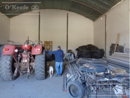 Campo En Venta De 300 Has Santa Maria, Catamarca