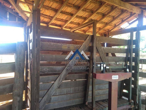 Imagem 7 de 12 de Fazenda Com 3 Dormitórios À Venda, 3993000 M² Por R$ 18.150.000,00 - Zona Rural - Presidente Venceslau/sp - Fa0004