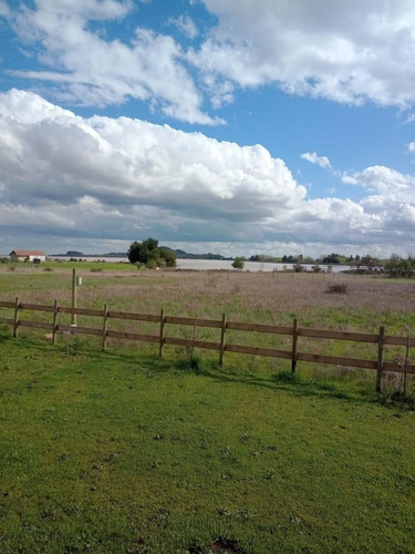 Vendo Parcela Con Cabaña En Lago Machicura D3 B2 Colbún