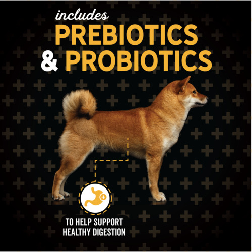 Evolve Dog Classic Pollo 15 Lb